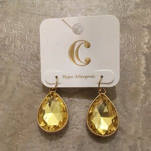 ⚡️NWT!!Charming Charlie Drop Earrings⚡️